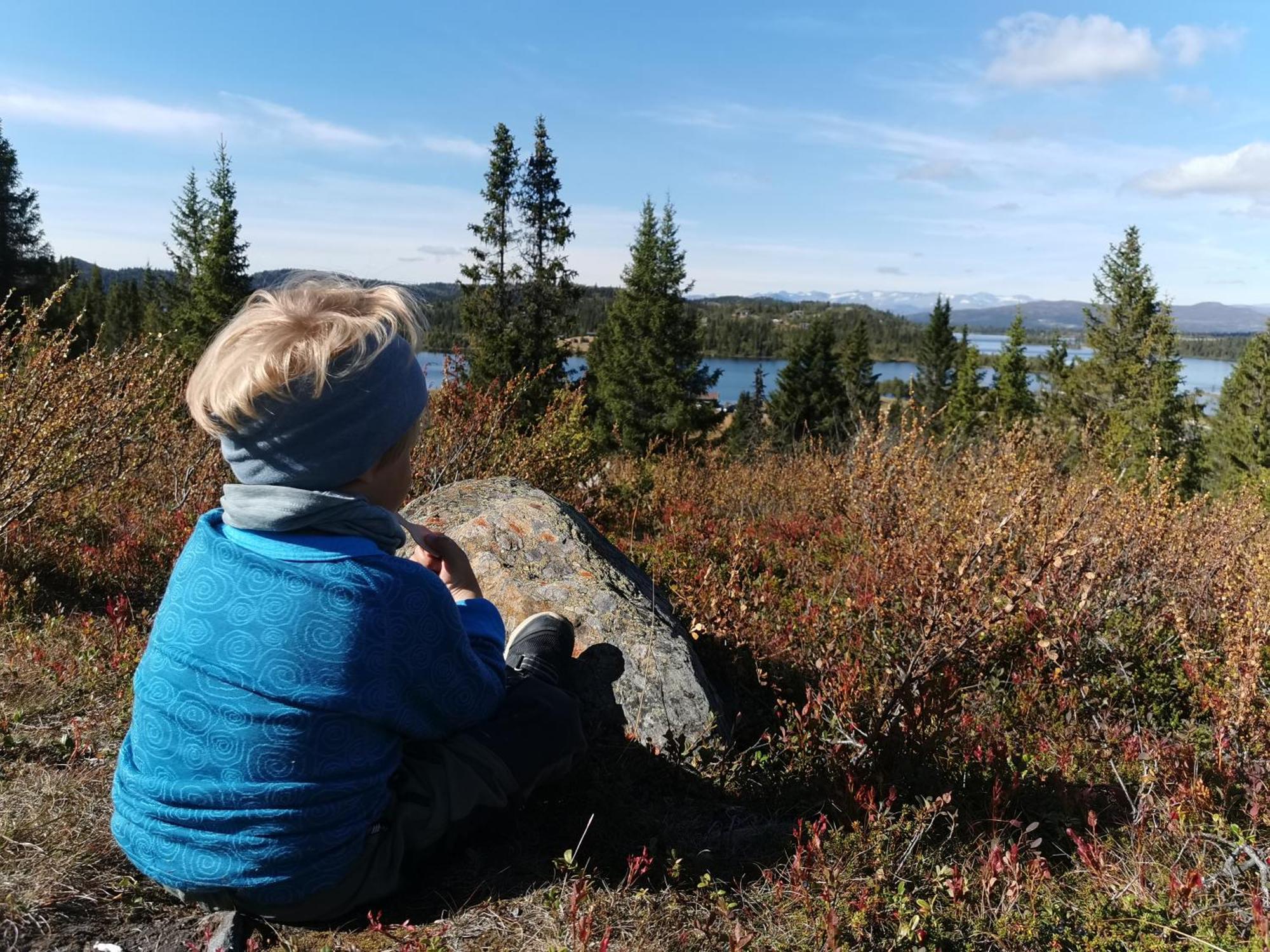 Hotel Gronolen Fjellgard 3*