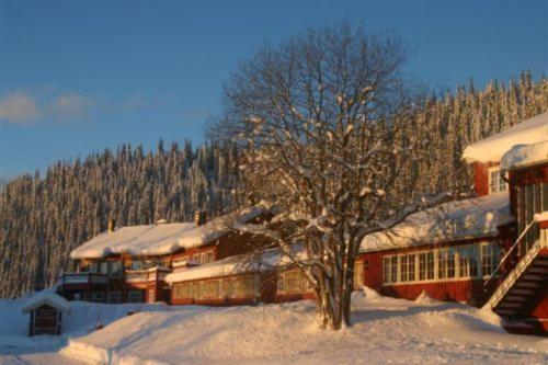 Hotel Gronolen Fjellgard 3*