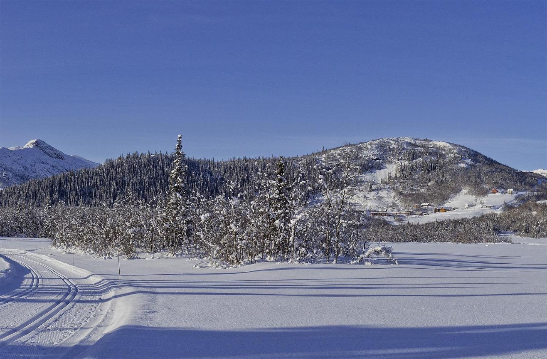 Gronolen Fjellgard